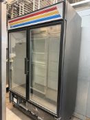 True 2 Glass Door Freezer 220v 1PH.