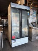Everest 2 Glass Door Reach in Refrigerator