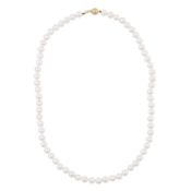 A single strand pearl necklace