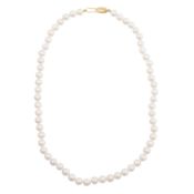 A single strand pearl necklace