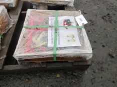 2025 RATCHET BINDER W/ 20' CHAIN & G80 HOOKS (UNUSED)