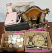 Assorted collectables including a group of specimen stone eggs, two 20th century brass-mounted