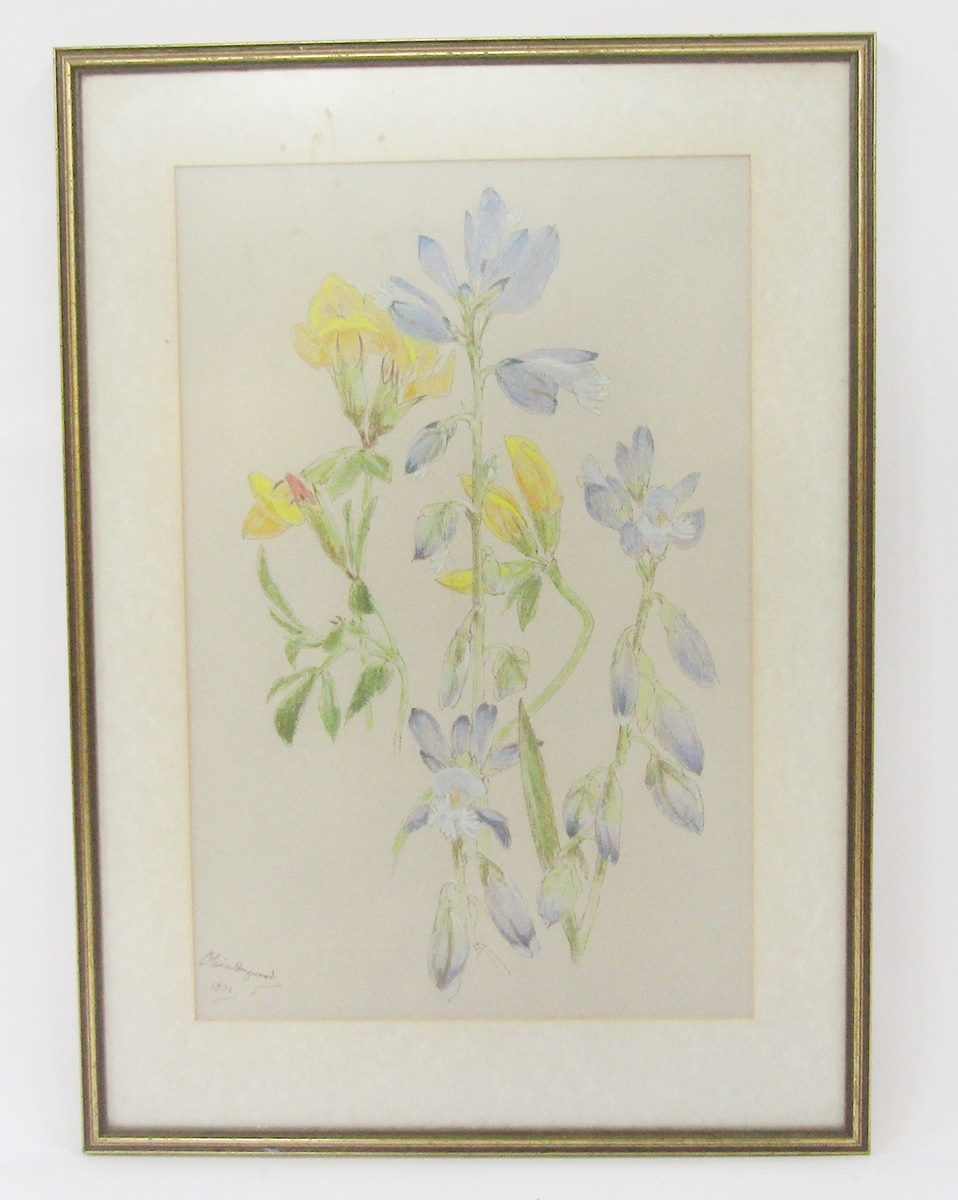 Oliver Heywood (1920-1992) Pastel and pencil on paper Study of blue and yellow flowers, possibly - Image 2 of 4