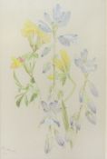 Oliver Heywood (1920-1992) Pastel and pencil on paper Study of blue and yellow flowers, possibly