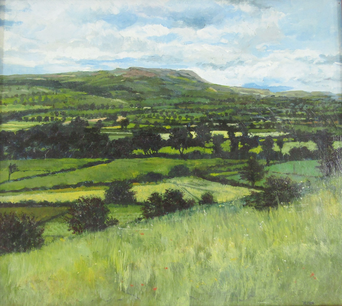 21st Century British School Oil on panel Landscape, The Shawl, Leyburn, North Yorkshire,