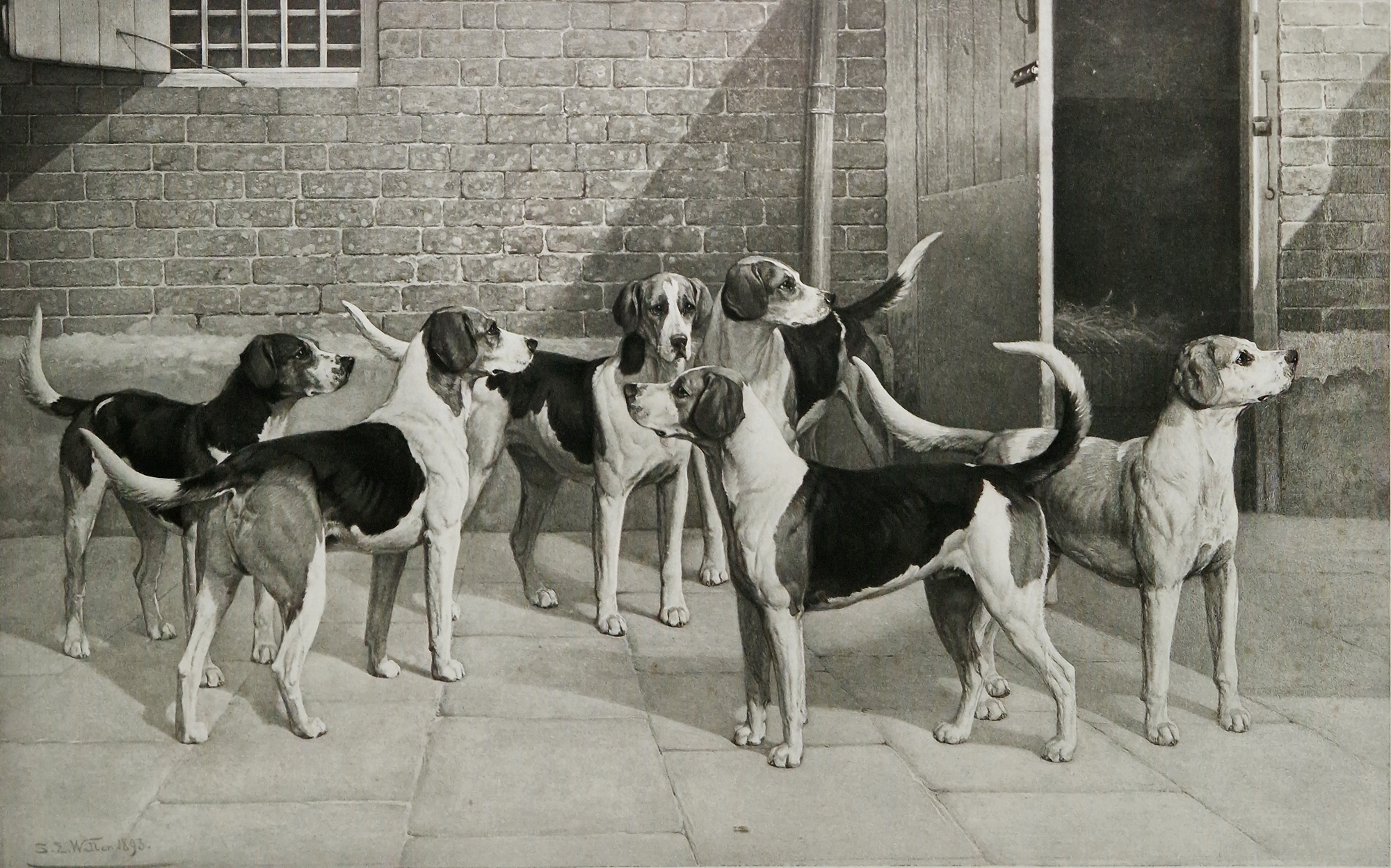 After S. E. Waller Photogravure "In the Cotswold Kennels", printed by A. Holdgate, published by