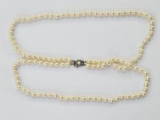 Double string of cultured pearl necklace, princess length, on white metal pearl set clasp, 17.5