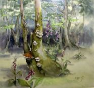 G. Siggs Watercolour drawing Woodland scene showing foxgloves and fungi on trees, signed lower