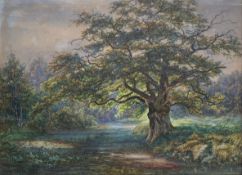 Henry Clifford Warren (b.1843), a 19th century watercolour titled 'Bower Oak, New Forest' 1886,