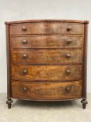 A Regency mahogany bowfronted chest of five long drawers flanked by spiral twist pilasters. H.132