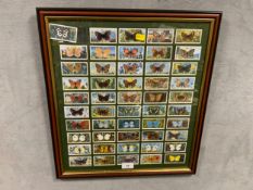 A pair of framed double glass cigarette cards depicting butterflies and flowers