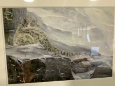 Dorothea Buxton-Hyde - A limited edition print ‘Winter Snow Leopard’ with certificate on the reverse
