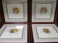 A set of four framed and glazed Tony Forrest limited edition wild cat prints, all numbered 666 /