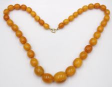 schöne Bernsteinkette, olivenförmige Steine, 72,5gr., L-66cm, Zertifikat anbei