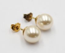 Paar vergoldete Muschelkern-Perl-Ohrstecker, 925er Silber, L-2cm