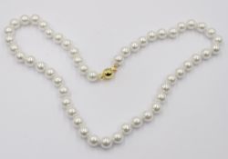 Muschelkern-Perlenkette, ca. L-46cm