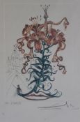 Salvador Dalí (1904-1989), Tiger Lilien, Serie Surrealist Flowers, Farblithografie, BG 34,5 x 25cm