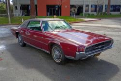 March 29, 2025 Collectibles Auction