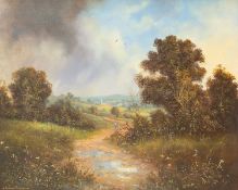 Richard BLOWEY (1947) A Stroll After The Storm