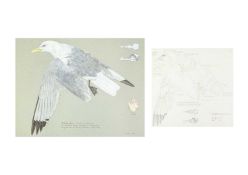 Valentine Stewart 'Pat' PATON (1925-2012) Kittiwake