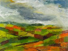 Chris SMITH (1950) Bojuthnoe Fields