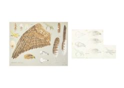 Valentine Stewart 'Pat' PATON (1925-2012) Buzzard