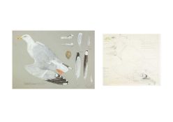 Valentine Stewart 'Pat' PATON (1925-2012) Herring Gull