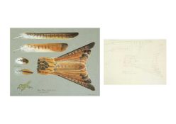 Valentine Stewart 'Pat' PATON (1925-2012) Red Kite