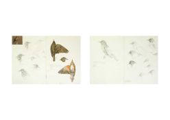 Valentine Stewart 'Pat' PATON (1925-2012) Redwing Thrush & Blackbird