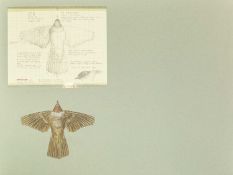 Valentine Stewart 'Pat' PATON (1925-2012) Blackcap