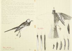 Valentine Stewart 'Pat' PATON (1925-2012) Pied Wagtail