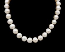 A large white cultured pearl choker.
