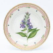 Speiseteller "Flora Danica", Royal Copenhagen.