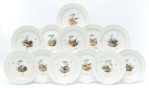 Zwölf Teller mit Vogeldekor, KPM Berlin,