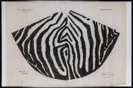 Costume designs for Norma Desmond's kimono in a production of 'Sunset Boulevard'