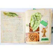 An excellent costume bible for the Pirates of Penzance film starring Angela Lansbury