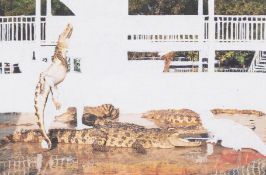 λ Angus Fairhurst (1966-2008) Crocodile Wrestling, Evidence of Man Removed (Unique)