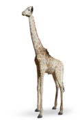Y A TAXIDERMY AFRICAN GIRAFFE