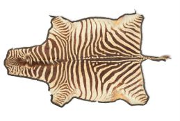 Y AN AFRICAN ZEBRA (HIPPOTIGRIS) SKIN RUG