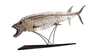 ‡ XIPHACTINUS AUDAX (LATE CRETACEOUS), SANTONIAN, SMOKY HILL CHALK GROVE, COUNTY KANSAS