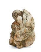 AN AMMONITE (CEPHALOPOD) ENCRUSTED SANDSTONE SPECIMEN