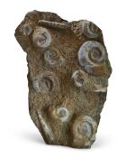 AN AMMONITE AND SEA SNAIL FOSSIL PANEL
