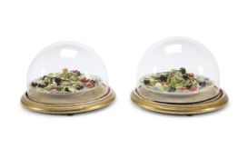 A PAIR OF MEISSEN FRUIT ENCRUSTED PLATES, MID 19TH CENTURY