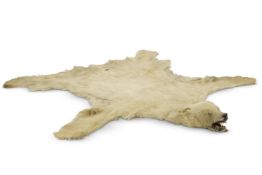 Y A POLAR BEAR (URSUS MARITIMUS) SKIN RUG AND PRESERVED HEAD, LATE 19TH CENTURY