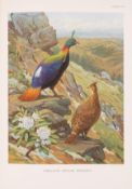 θ Birds.- Beebe (William) A Monograph of the Pheasants, 4 vol., first edition, one of 600 copies, …