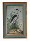 A GEORGE III EMBOSSED PAPER BIRD PICTURE, ATTRIBUTED TO WILLIAM HAYES, LATE 18TH CENTURY