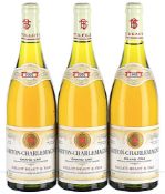 1995 Tollot Beaut, Corton-Charlemagne Grand Cru