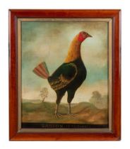 ENGLISH SCHOOL (20TH CENTURY), SAMSON. PORTRAIT OF A GAMECOCK