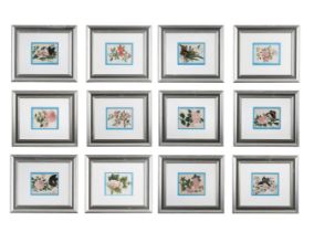 A SET OF TWELVE CHINESE EXPORT RICE PAPER PAINTINGS OF FLOWERS, 19TH CENTURY