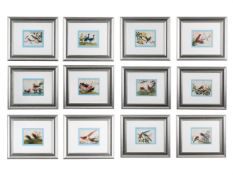 A SET OF TWELVE CHINESE EXPORT RICE PAPER PAINTINGS OF BIRDS, 19TH CENTURY